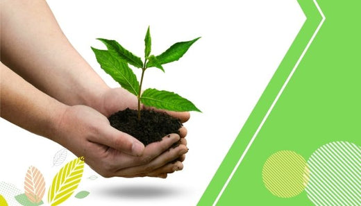 Nutritional Benefits Of Organic Food