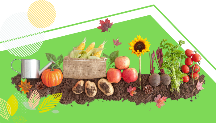 Organic Farming & Nutritional Value of Organic Food