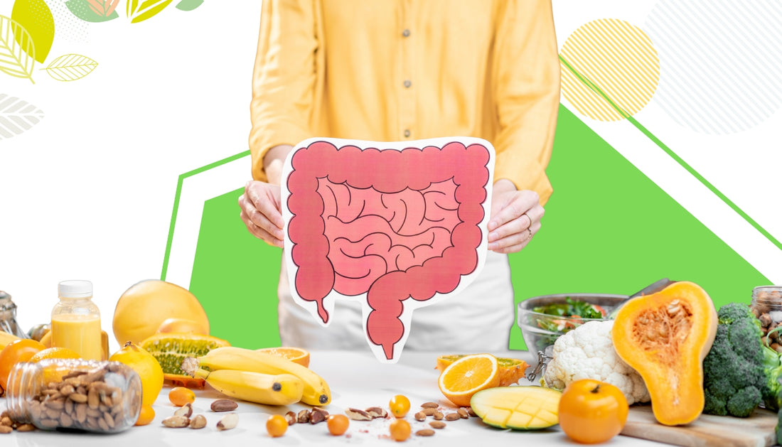 Having a Happy Tummy in 2024 : Best Foods For Gut Health!