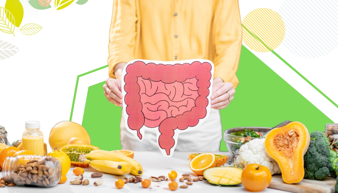 Having a Happy Tummy in 2024 : Best Foods For Gut Health!