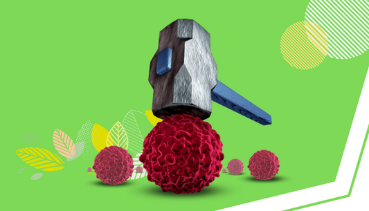 The Interplay Between the Immune System and Cancer