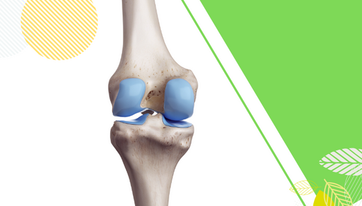 What can I take to rebuild my joints?