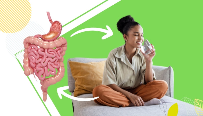 Maintain a Healthy Digestive System with 5 Easy Tips