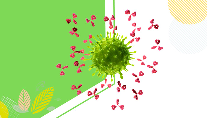 Immune system | Description, Function, & Facts