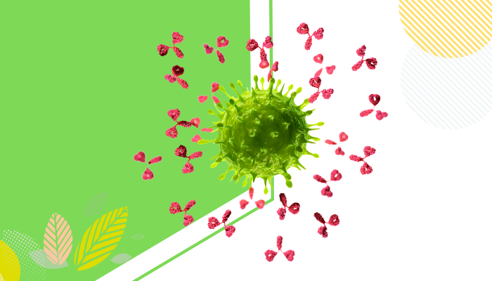 Immune system | Description, Function, & Facts