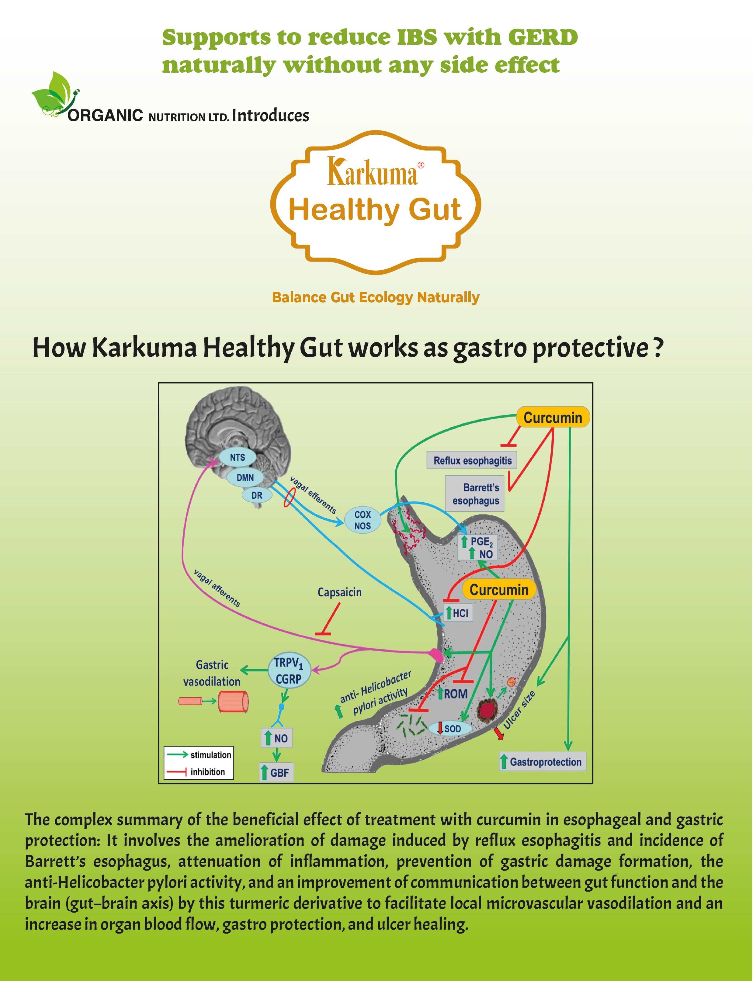 Karkuma Healthy Gut