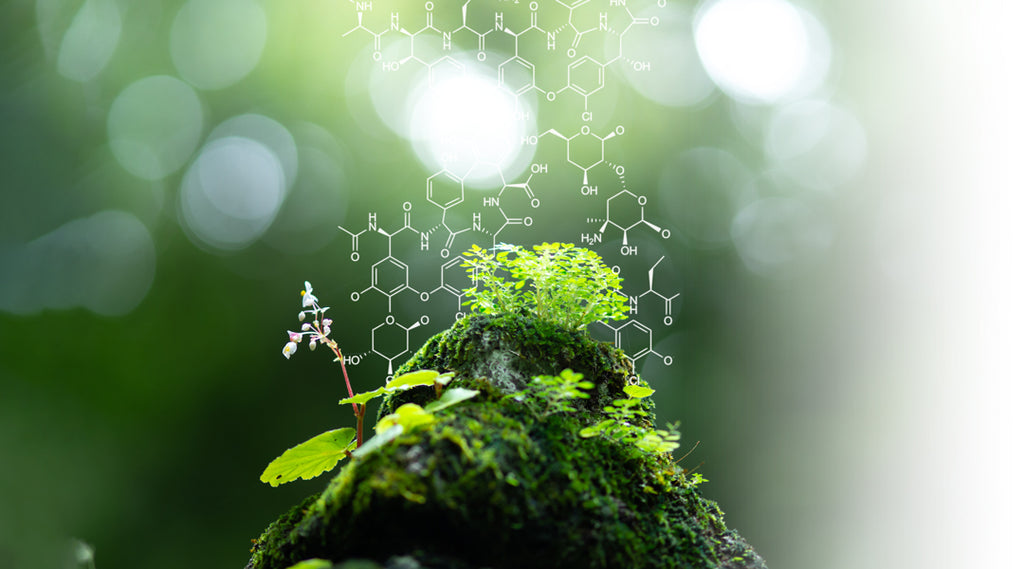 karkuma organic functional food