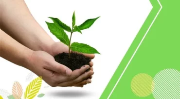 8 Science-Backed Nutritional Benefits of Organic Food